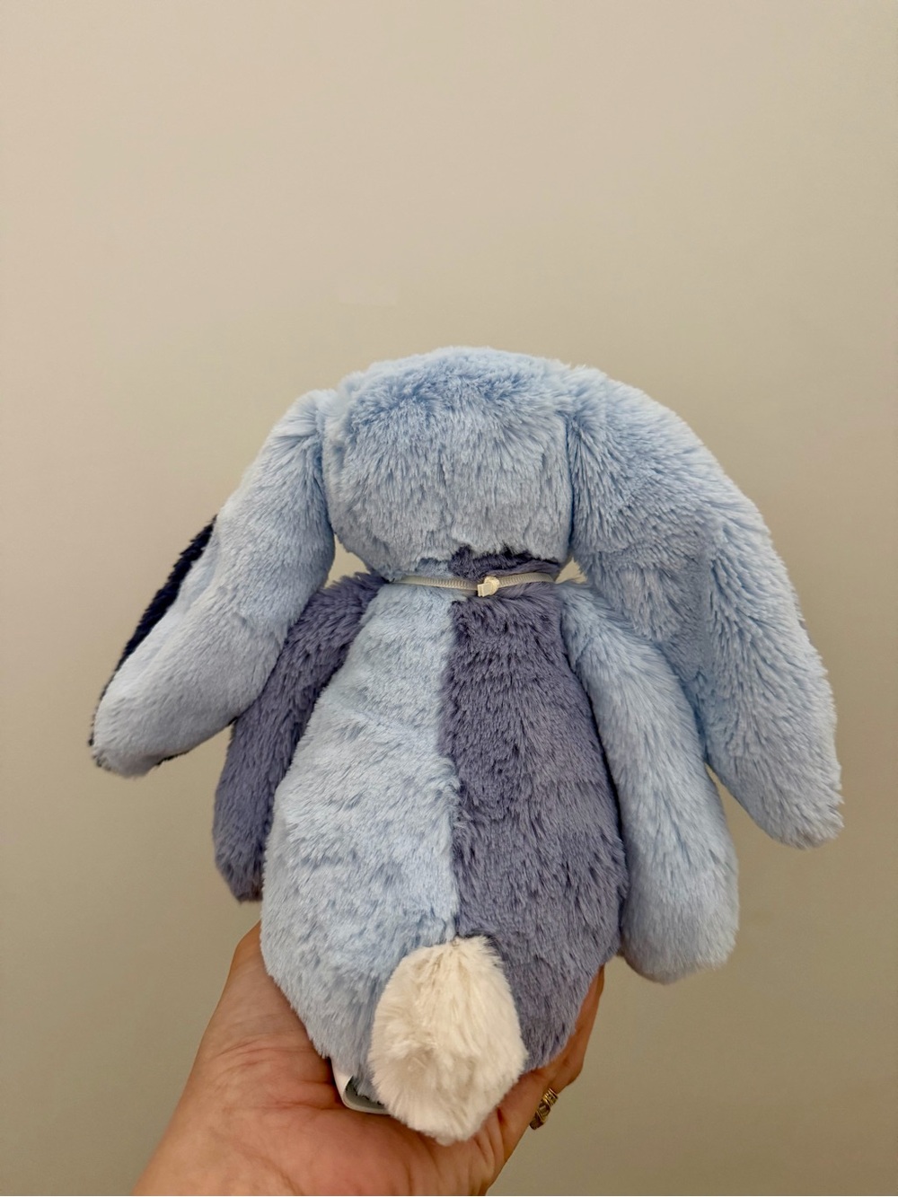 🐰💙𝐀𝐮𝐭𝐡𝐞𝐧𝐭𝐢𝐜 𝐉𝐞𝐥𝐥𝐲𝐜𝐚𝐭 𝐏𝐮𝐝𝐝𝐥𝐞𝐬𝐞𝐚 𝐁𝐮𝐧𝐧𝐲 💙🐰 - Picture 3 of 6